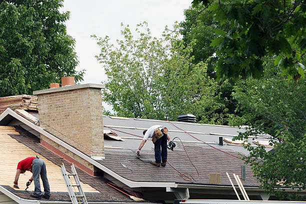Best Roof Gutter Cleaning  in Mount Vernon, NY